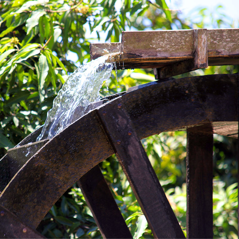 Setembro Calor e Natureza